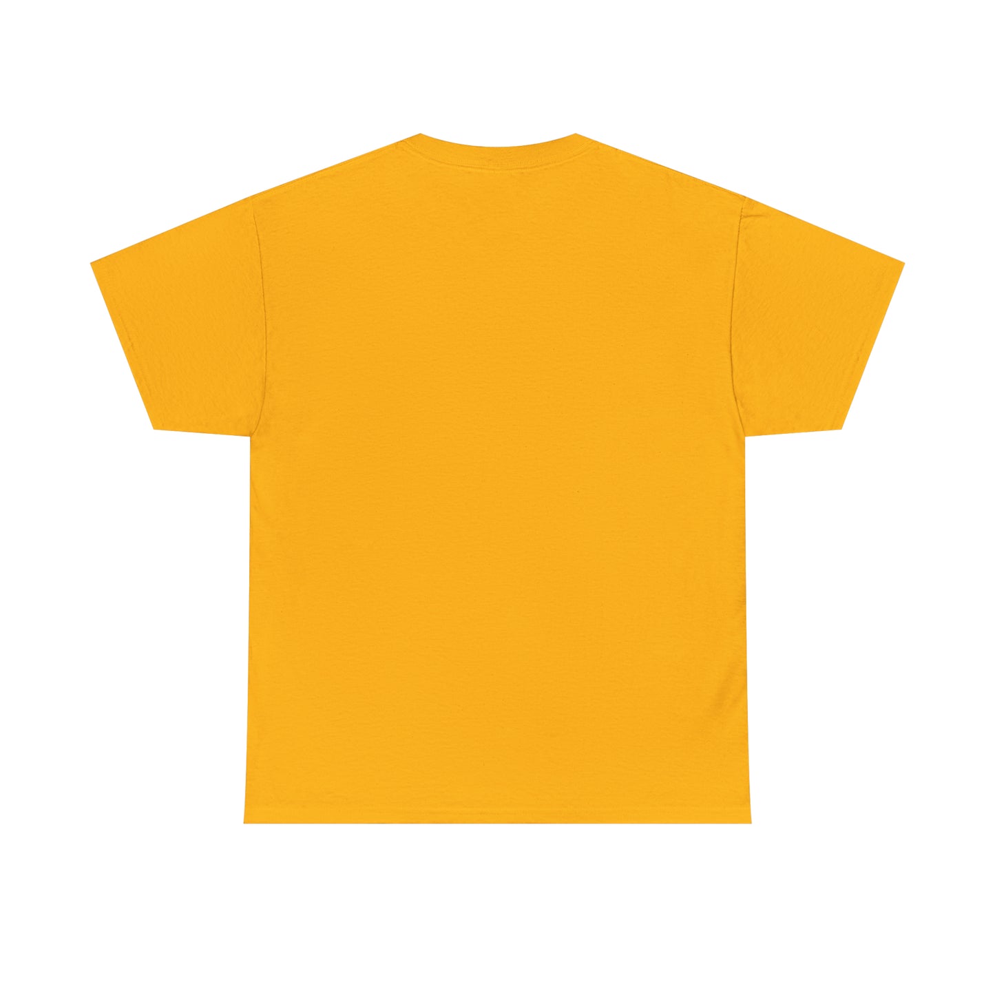 Sunset Launch Unisex Heavy Cotton T-Shirt