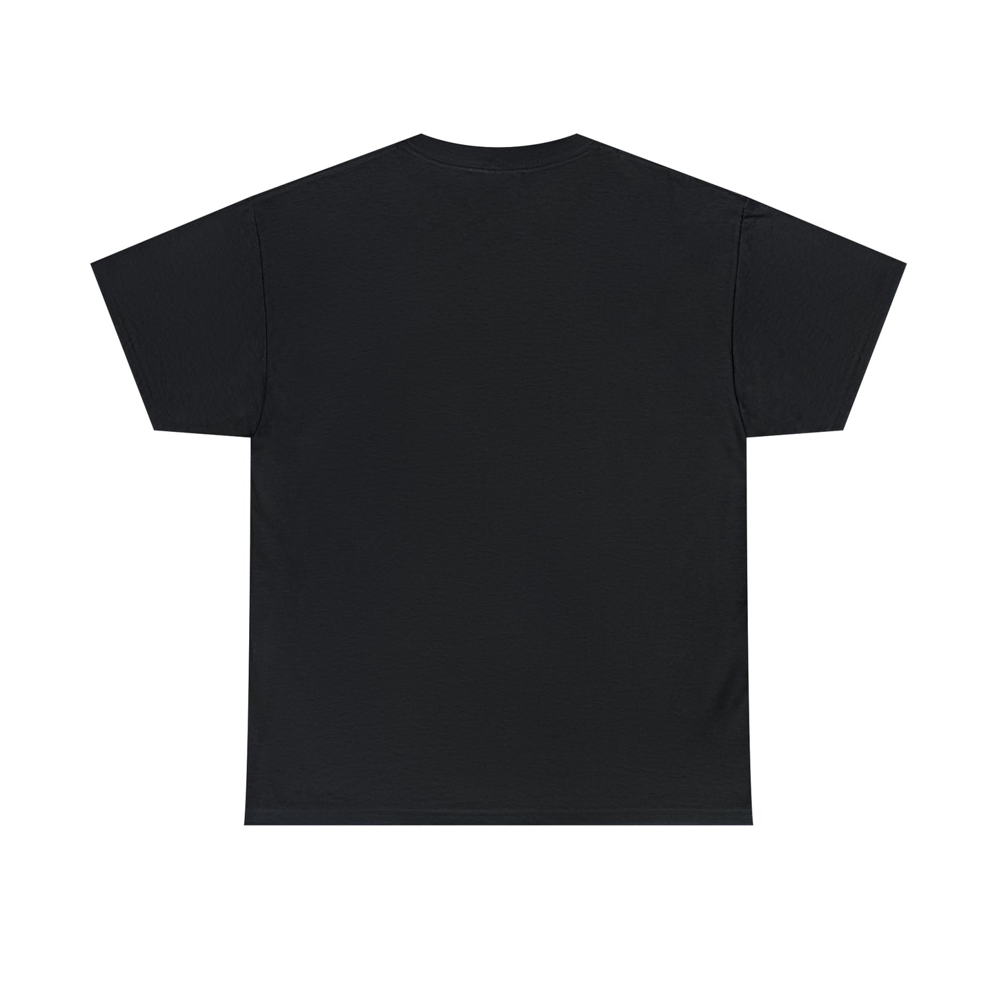 Sunset Launch Unisex Heavy Cotton T-Shirt