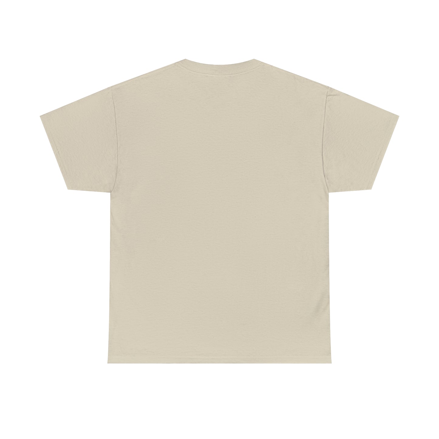 Sunset Launch Unisex Heavy Cotton T-Shirt