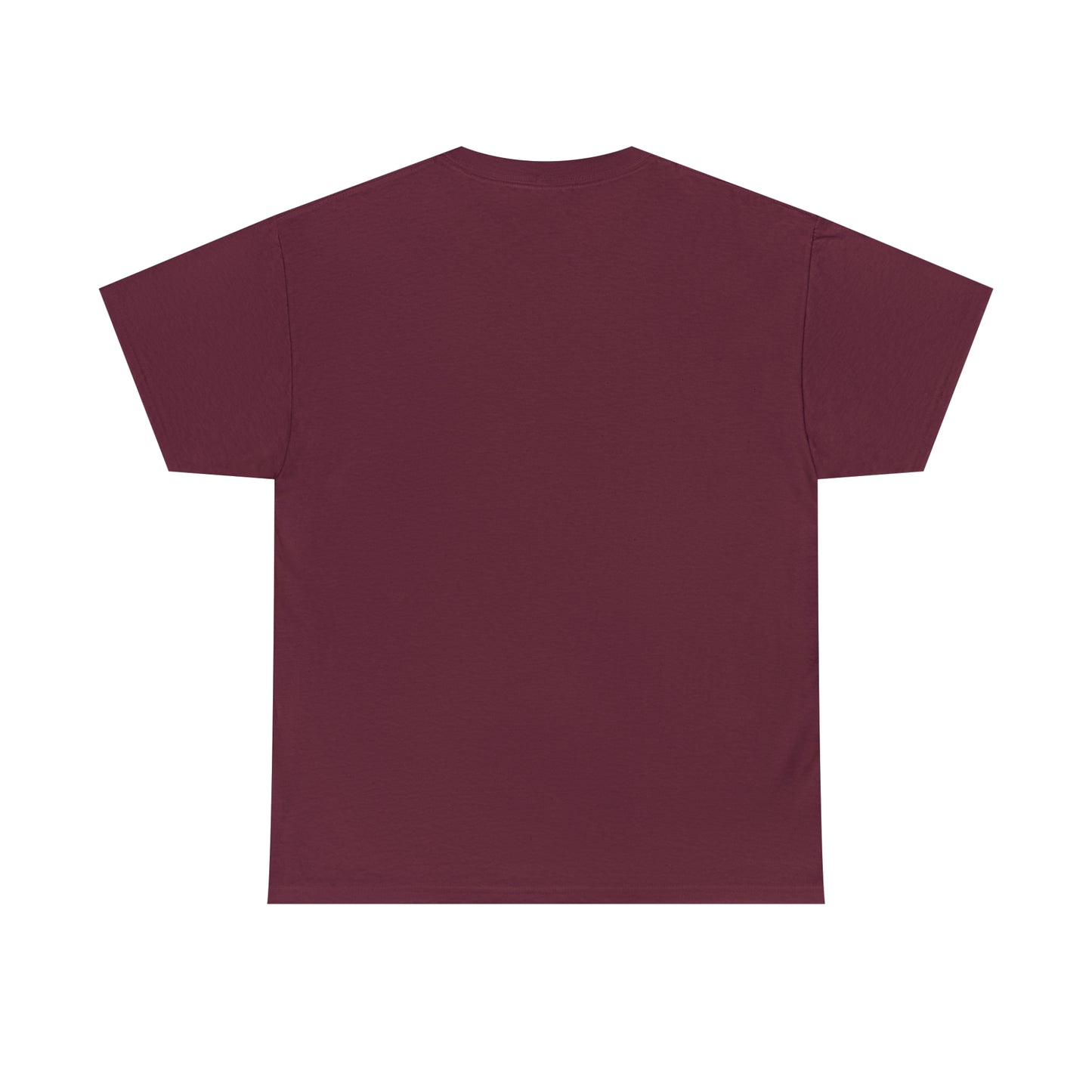Sunset Launch Unisex Heavy Cotton T-Shirt