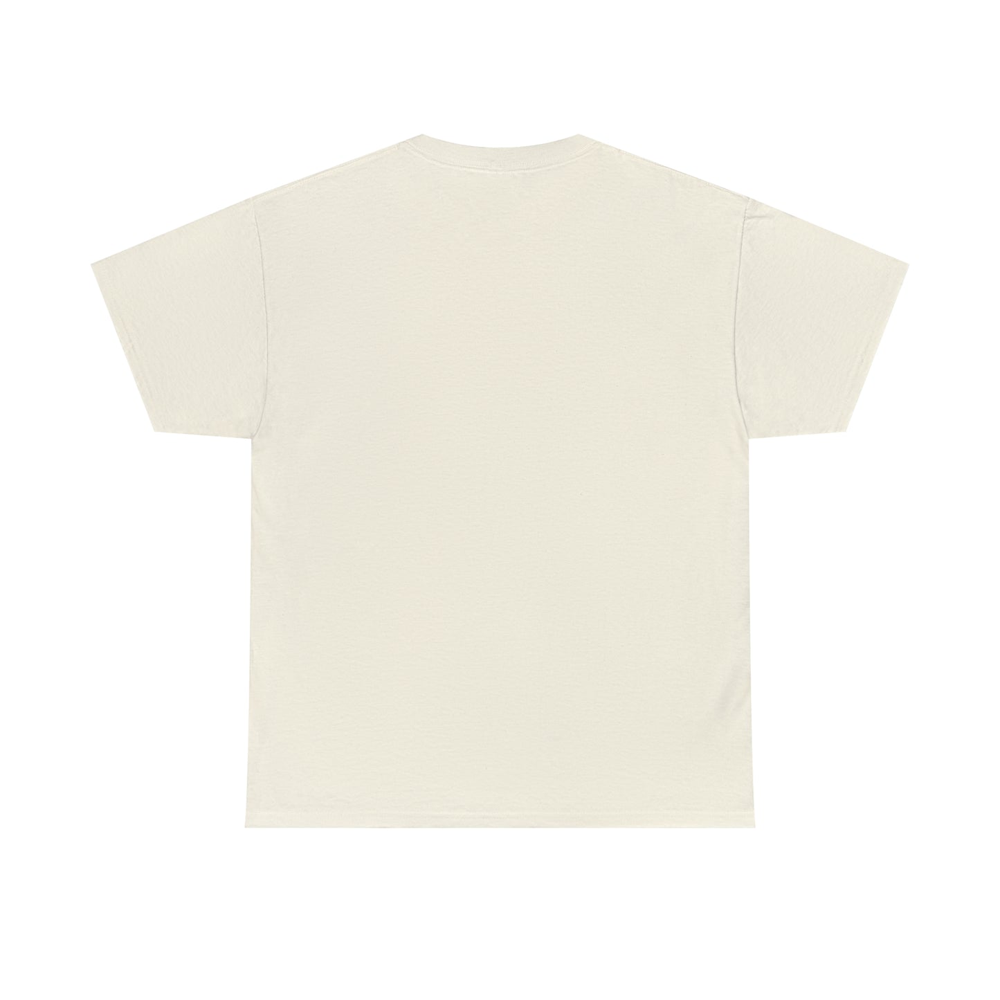 Sunset Launch Unisex Heavy Cotton T-Shirt
